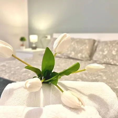 Archivio 32 Neapolitan Neapol